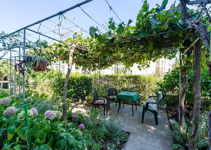 Apena Apartment